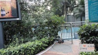金科香江家园实景图图片