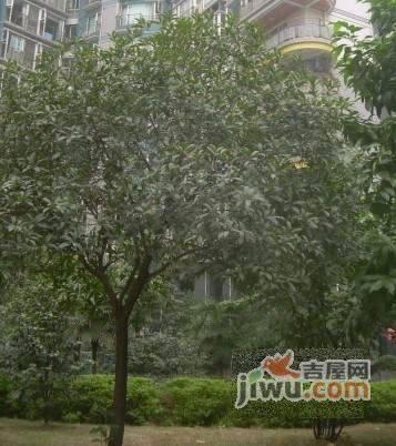 中兴路小区实景图图片