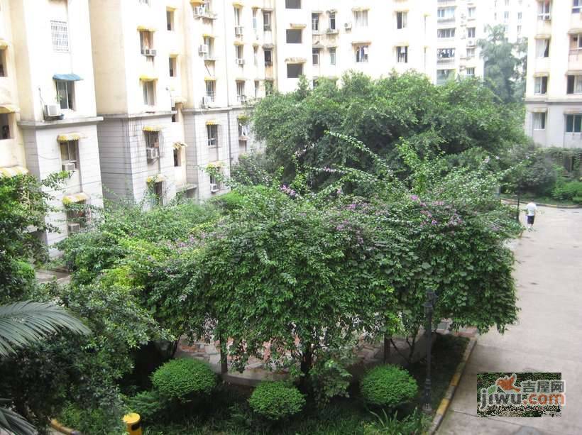 雨花村实景图图片