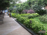 天龙城市花园实景图图片