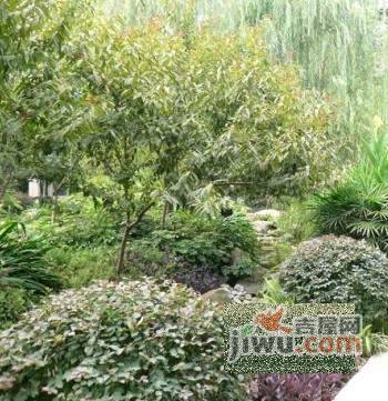 建东二村实景图图片