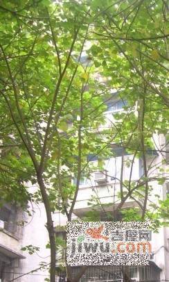 建东二村实景图图片