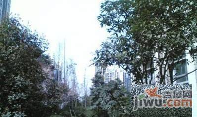 龙湖水晶星座实景图图片