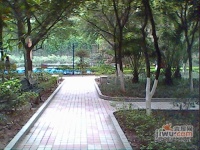 桃源佳景效果图