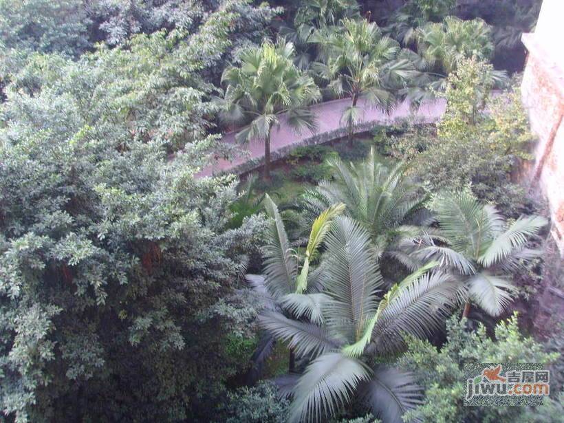 桃源佳景实景图图片