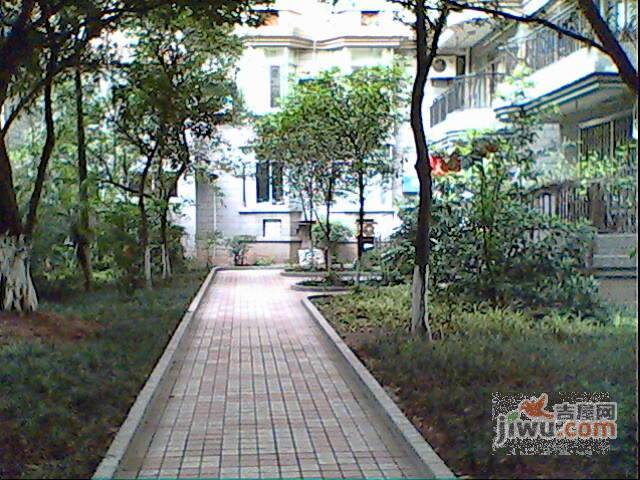 桃源佳景实景图图片
