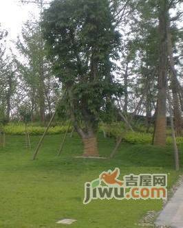 无名地小区实景图图片