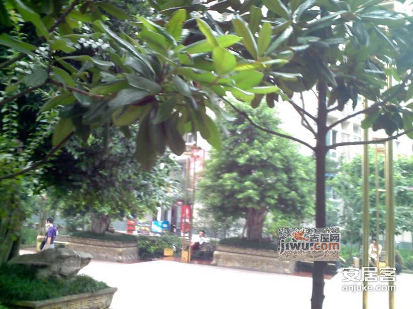 桃源公寓实景图图片