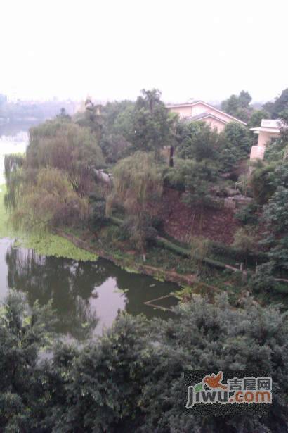 龙湖花园实景图图片