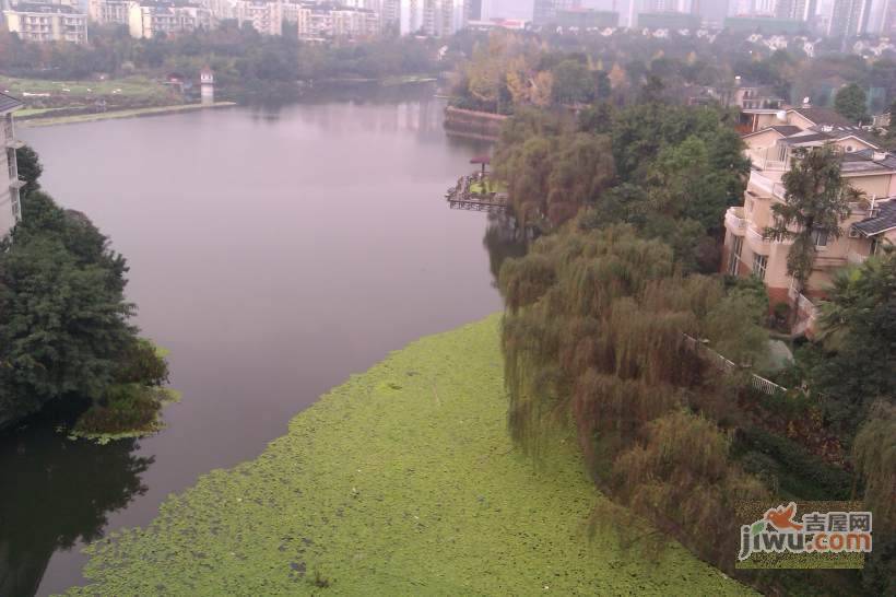 龙湖花园实景图图片