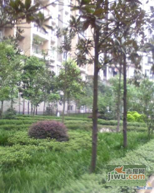 黄桷花园实景图图片