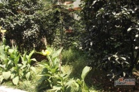 科城花园实景图图片