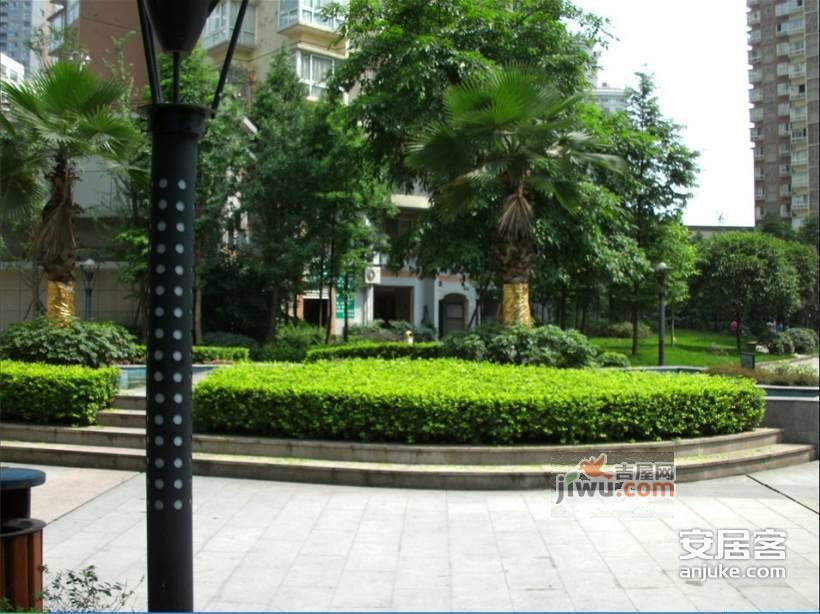 新城丽园实景图图片