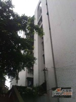 学田湾正街小区实景图7