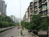 雨轩华新小区实景图图片