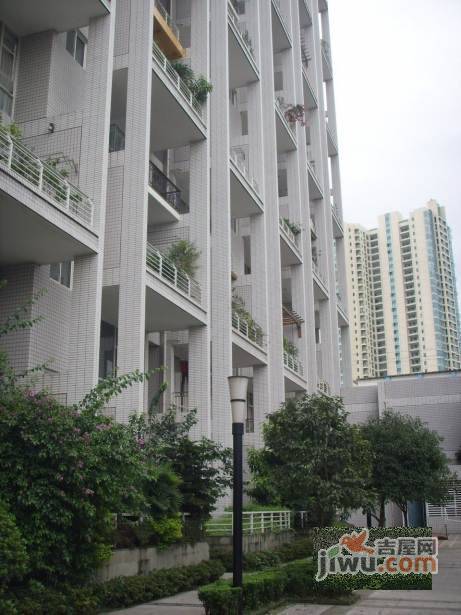 旭日凤凰城实景图图片