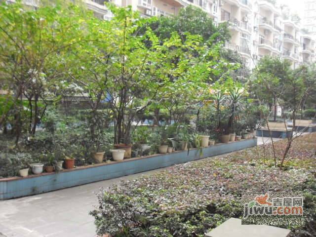 龙景花园实景图图片