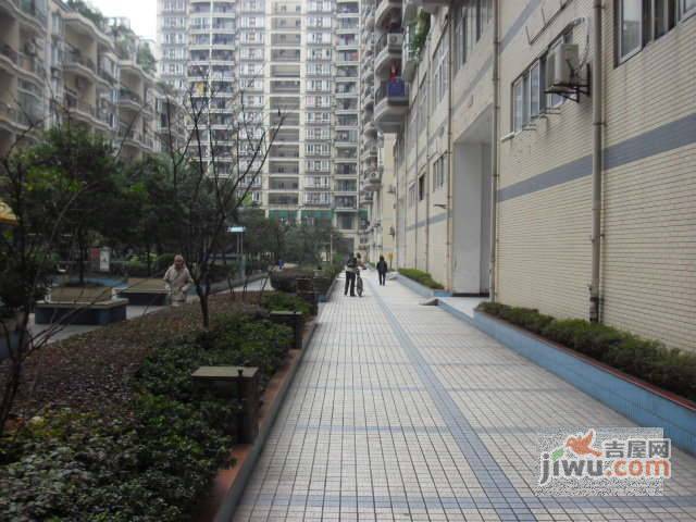 龙景花园实景图图片