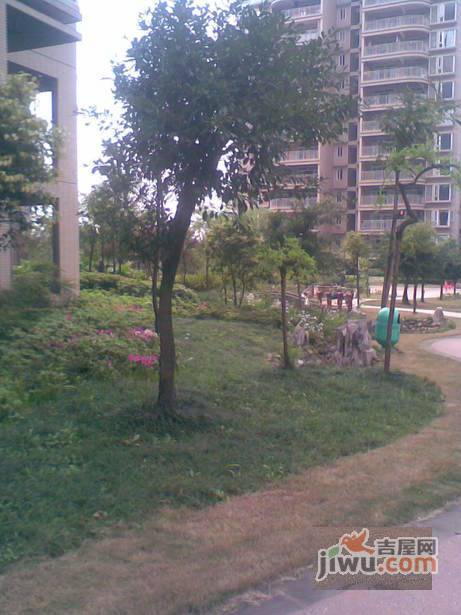 金和苑实景图图片