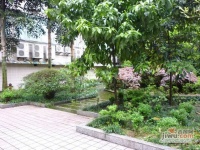 锦湖花园