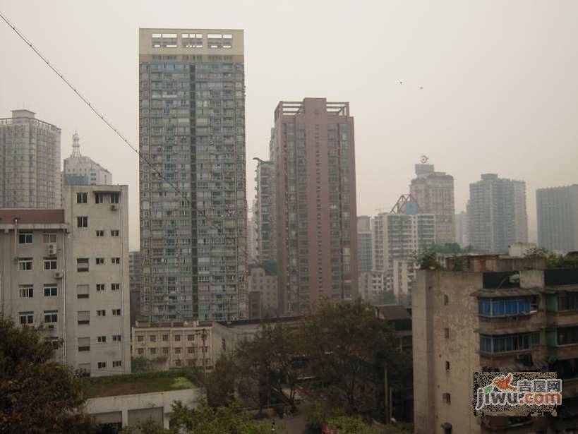 鲤鱼池小区实景图图片