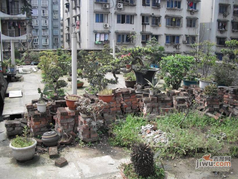 满堂红家苑实景图图片