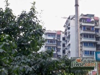 花卉西路小区实景图1