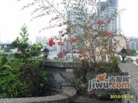 花卉西路小区实景图1