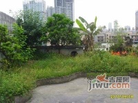 花卉西路小区实景图1