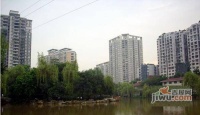 花卉西路小区实景图1