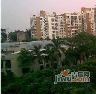 公园1号实景图图片