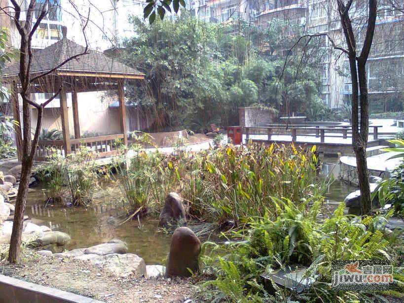 时代阳光花园实景图图片
