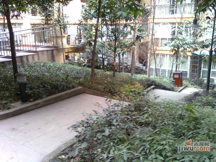 时代阳光花园实景图图片