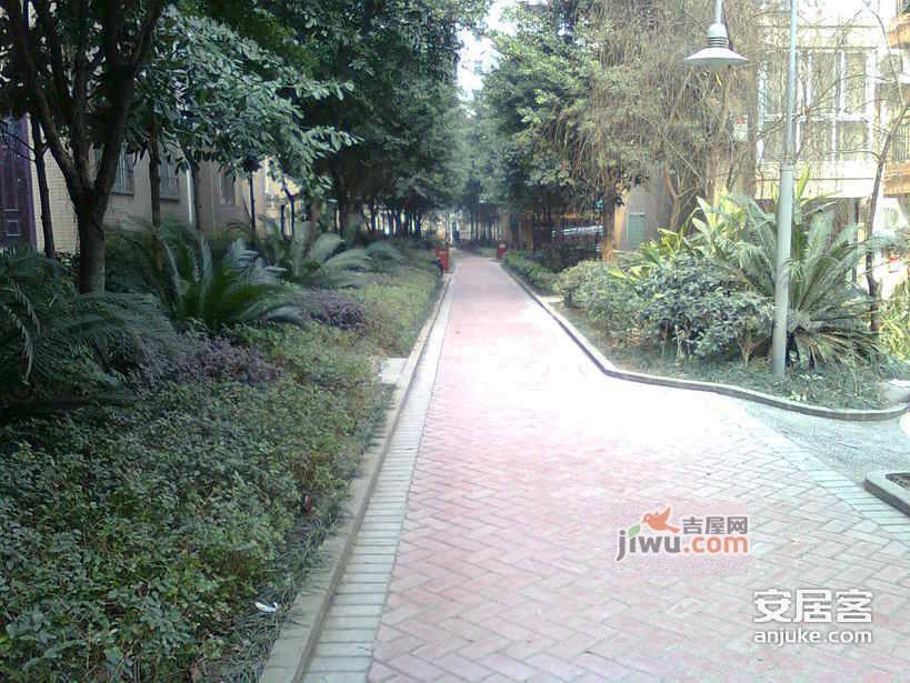 时代阳光花园实景图图片