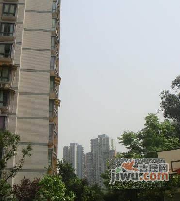 紫晶丽苑实景图图片