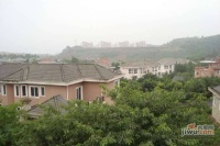 长青湖实景图图片