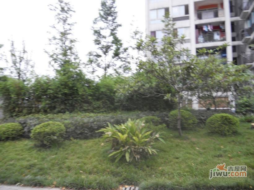 南方新城苹果派实景图图片