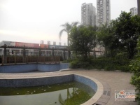 凯莱阳光效果图