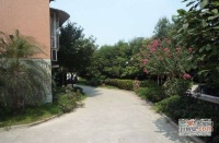 龙江花园实景图图片