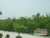 龙泉村实景图图片