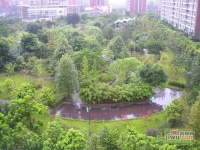 华立北泉花园实景图图片