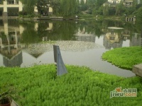 隆鑫花漾四季实景图图片