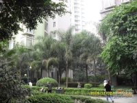 昌龙城市花园实景图10