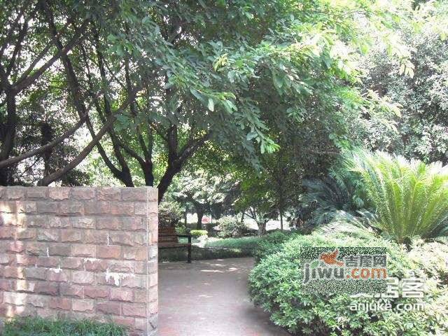 皇冠东和花园实景图图片