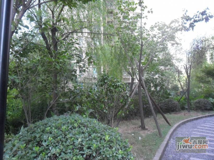 富抱泉花园实景图图片