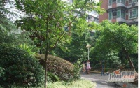 映江花园实景图23