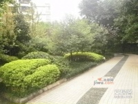 映江花园实景图23