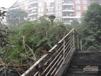 华立天地豪园实景图图片