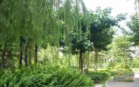 康翔花园实景图图片