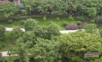 绿地翠谷后洛可可别墅实景图图片